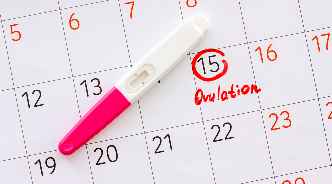 Identifying Your Fertile Window: A Guide to Natural Conception