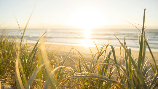 Vitamin D Status Test